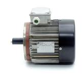 Elektrischer Motor LS90S T Neu