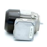 Motor IEC 600034  Neu