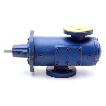 Screw pump 