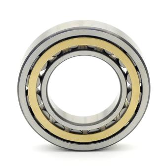 Cylindrical Roller Bearing 
