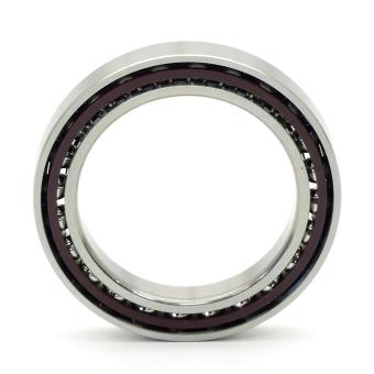 Angular Ball Bearing 