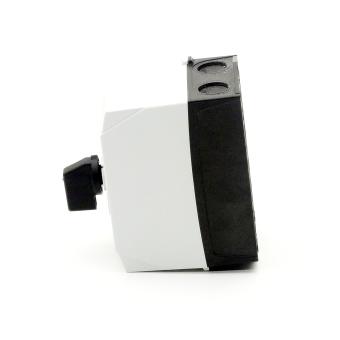 Rotary switch 