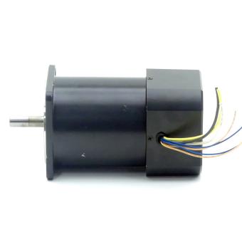 Speed Control Motor 