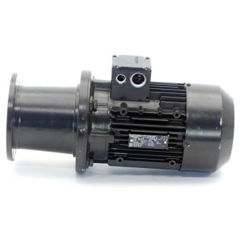 Low-voltage motor 