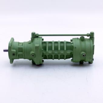 Screw spindle Pump 