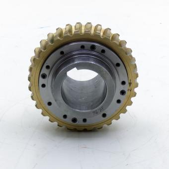 Worm Gear 