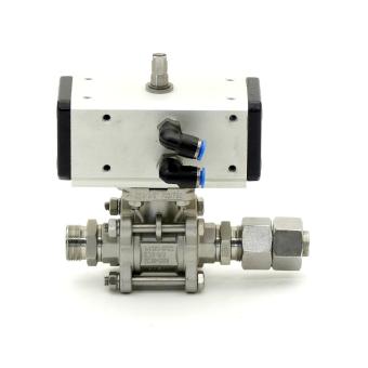 Pneumatic actuator 