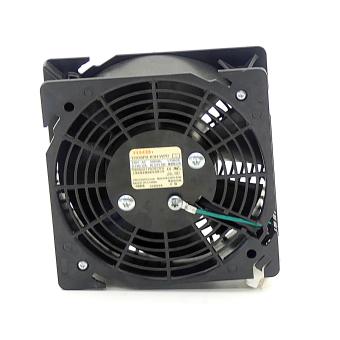 fan 