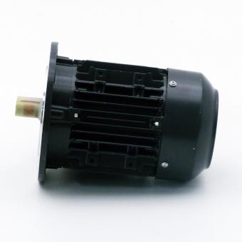 Three Phase Motors 