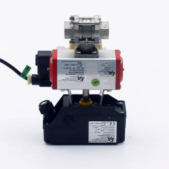 Rotary actuator with ball valve 