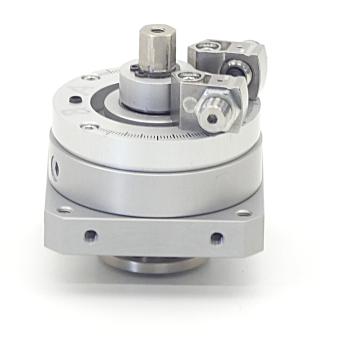 Schwenkantrieb DSM-25-270-P-FW-A-B 
