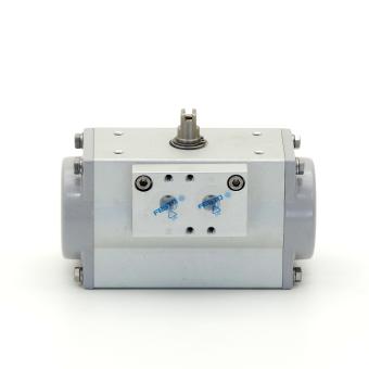Schwenkantrieb DFPD-20-RP-90-RS60-F04 