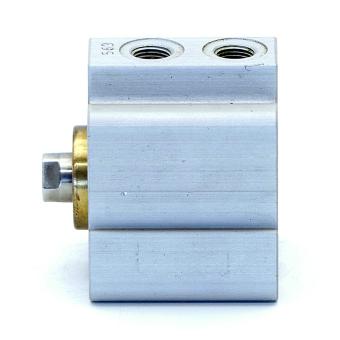 Pneumatic cylinder 