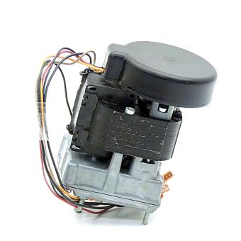 Gear motor 