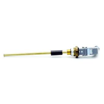 Level controller EExi IIC T4 