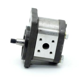 Hydraulic gear pump 