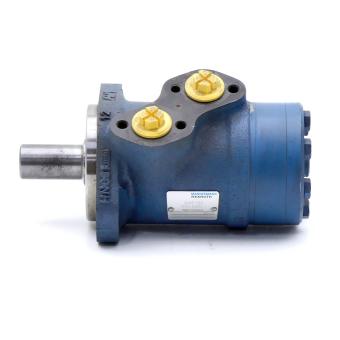 Hydraulic motor 