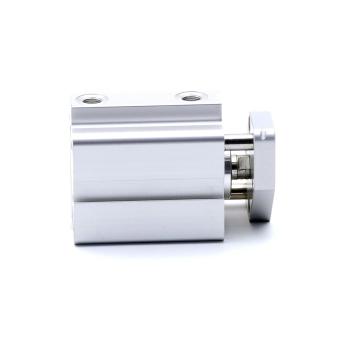 Pneumatic cylinder 