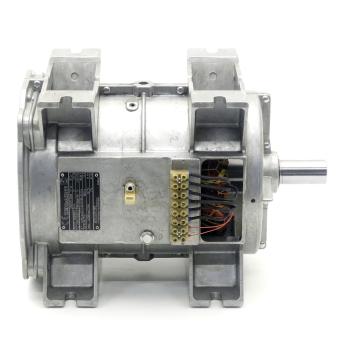 Motor für Schraubenspindelpumpe 