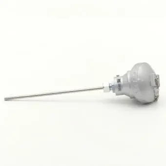 Widerstandsthermometer PT100 