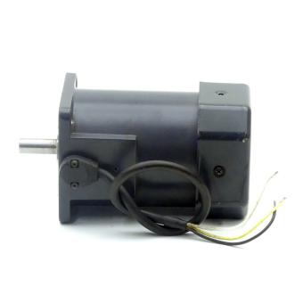 Induction Motor 