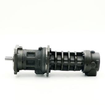 Screw spindle Pump 