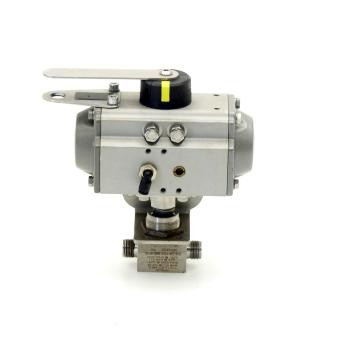 Pneumatic control head 