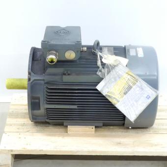 Drehstrommotor K11R 180L 4 Exe II T3 TPM HW 