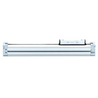 Linear actuator DGC-K-18-150-PPV-A-GK 