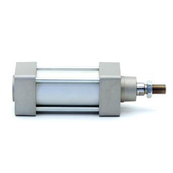 Pneumatic cylinder 