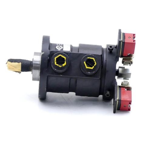Swing motor  New
