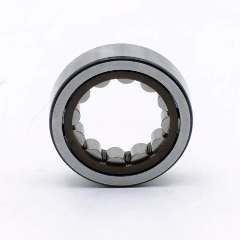 Cylindrical Roller Bearing  New FS