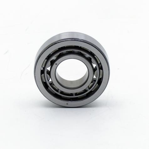 Cylindrical Roller Bearing OAPN New FS