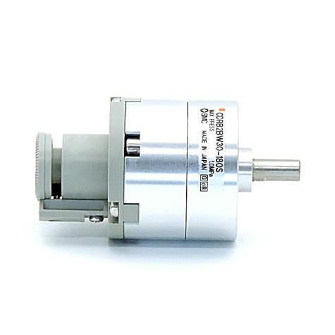 Pneumatic rotary actuator  