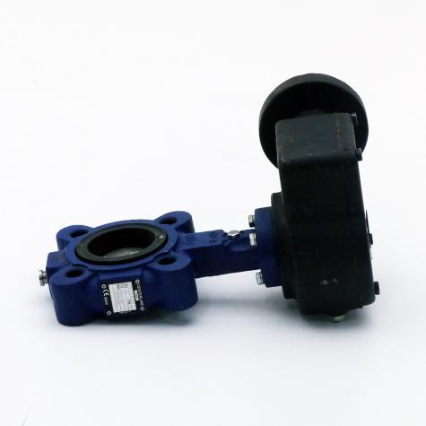 Butterfly valve  New