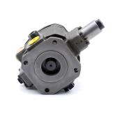 Vane pump  New