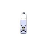 Minischlitten  Neu