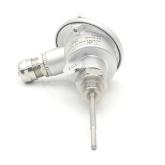 Temperaturfühler PT100 DIN/IEC 980925 Neu