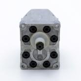 Gear Pump  
