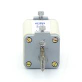 2 Stück Sicherungseinsatz NH2-gG Neu