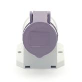 Buchse Violett  Neu