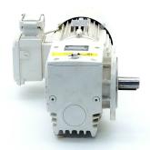 Getriebemotor 80 S/2 BRE10 Z MS Neu