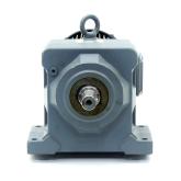 Gear Motor  Neu