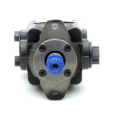 Innenzahnrad-Pumpe QX22-005R117-8 Neu