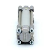 Pneumatic cylinder  