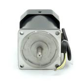 Induction Motor  