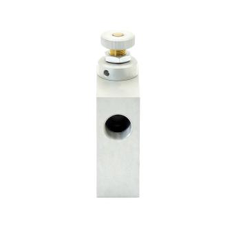 Throttle check valve 