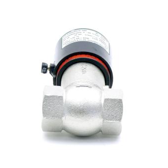 Flow monitor 