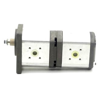 gear pump / double pump 0 510 769 011 
