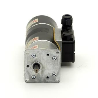 Gear motor 